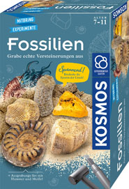 Bastelbox Kosmos Fossilien